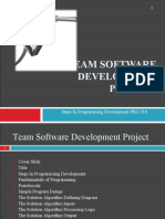 Team Software Development Project: Steps in Programming Development PRG 210
