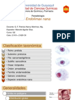 Endolimax nana - Parasitología (1er Parcial).pptx