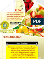 BUDIDAYA MELON Maulida