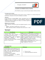 Sistematização Auto Barca PDF