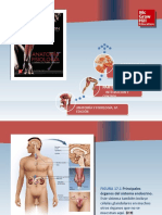 Saladin Anatomia 6a Diapositivas c17 SISTEMA ENDOCRINO