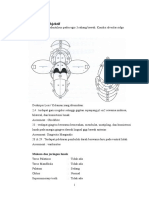 Pemeriksaan Objektif