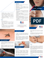 Síntomas, diagnóstico y prevención del Dengue y Chikungunya