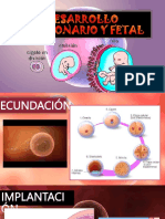 Desarrollo Embrionario y Fetal