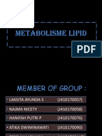 Metabolisme Lipid