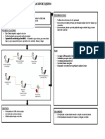 A3 tarea