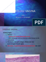 Histologi Vagina