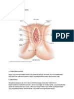 Anatomi Sistem Reproduksi Wanita
