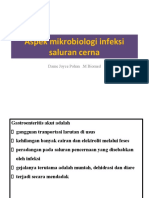 Mikrobio Infeksi Sal Cerna