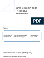 Metabolisme Bilirubin Pada Neonatus