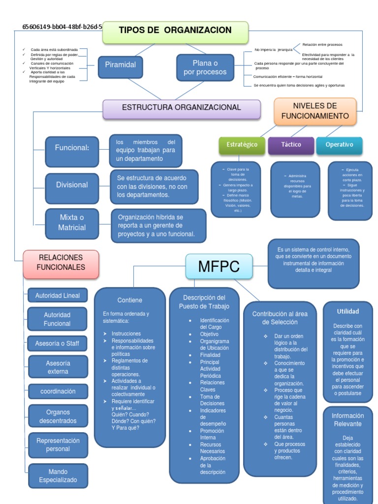 Mapa Mental de Estructura Organizacional | PDF | Business