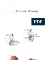 Anatomi, Fisio Dan Histologi