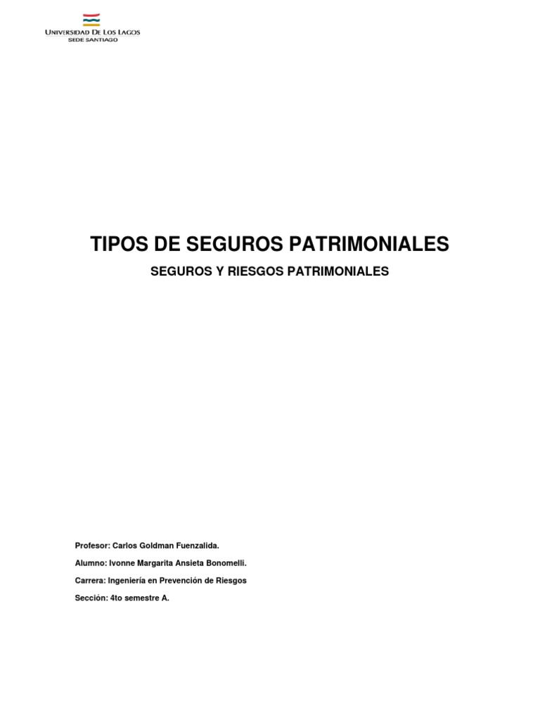 Tipos de Riesgos Patrimoniales | PDF | Póliza de seguros | Reaseguro