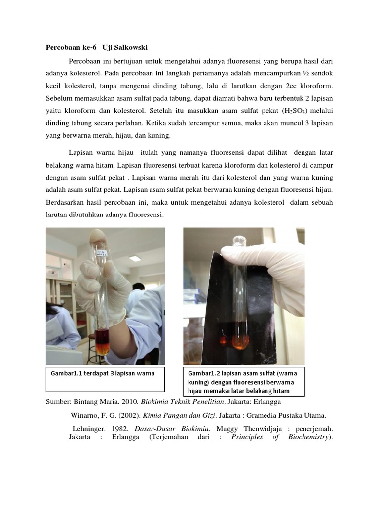Percobaan Ke 6 Uji Salkowski