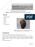 TAS SAUDE 6566_ Protocolo Dissecaçao Coração Porco