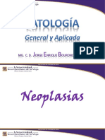 5 Neoplasias