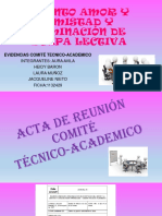 Evidencias Comite Tecnico Academico