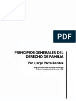Dialnet-PrincipiosGeneralesDelDerechoDeFamilia-5620620.pdf