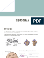 Ríbosomas.pptx