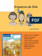 Pueblos Originarios Chile