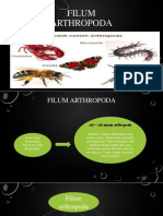 Arthropoda