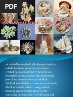 Seashell and Shell Craft