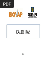 Biovap Caldeiras Somente Leitura