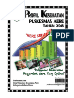 Profil PKM Aere 2018-1