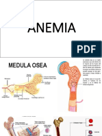 Tipos de Anemia