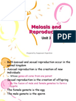 Meiosis and Reproduction