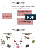 HYDATIDOSIS