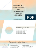 Siklus Hidup Parasit Malaria