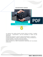 valoracion de cargos.pdf