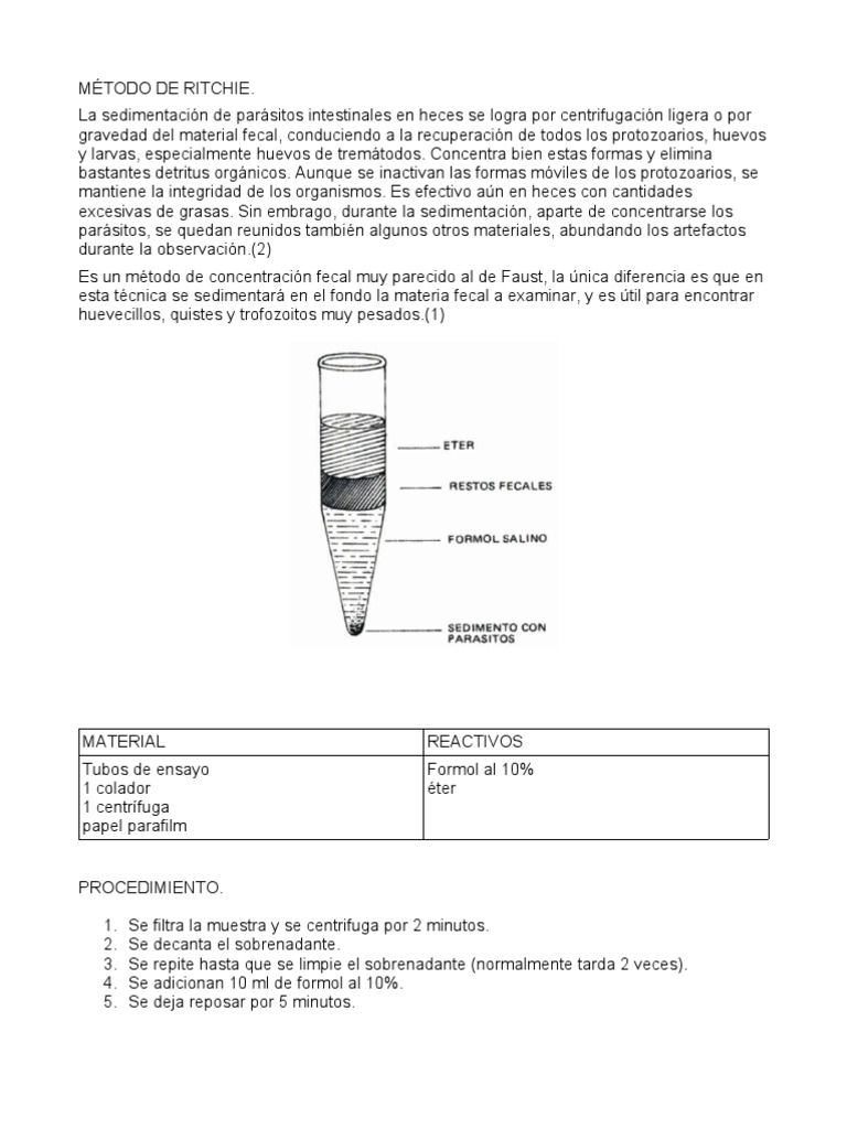 Método de Ritchie en Parasitología | PDF
