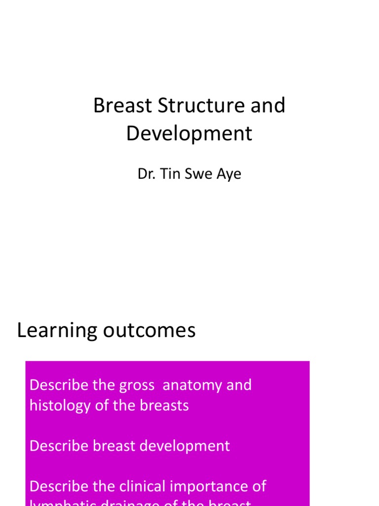 BREAST Development TSA | PDF | Breast | Nipple