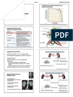 Nefrologia 03 Completo 2019 Alumno