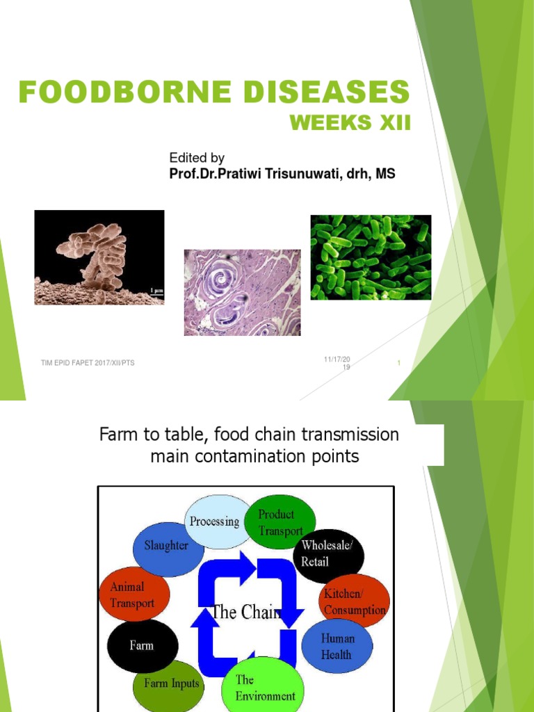 Understanding Foodborne Diseases | PDF | Foodborne Illness | Salmonella