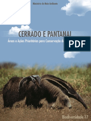Empresários compram terras para formar 'corredor' de preservação no  Pantanal