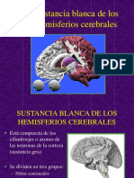 45 Sustancia Blanca de Los Hemisferios Cerebrales