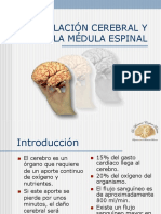 52 Circulación Cerebral y Médula Espinal