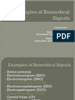 2nd Practice Medical Informatics Biomedical Signal Processing TAMUS, Zoltán Ádám