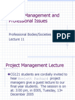 Project Management and Professional Issues