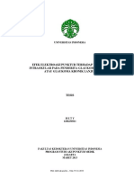 File PDF