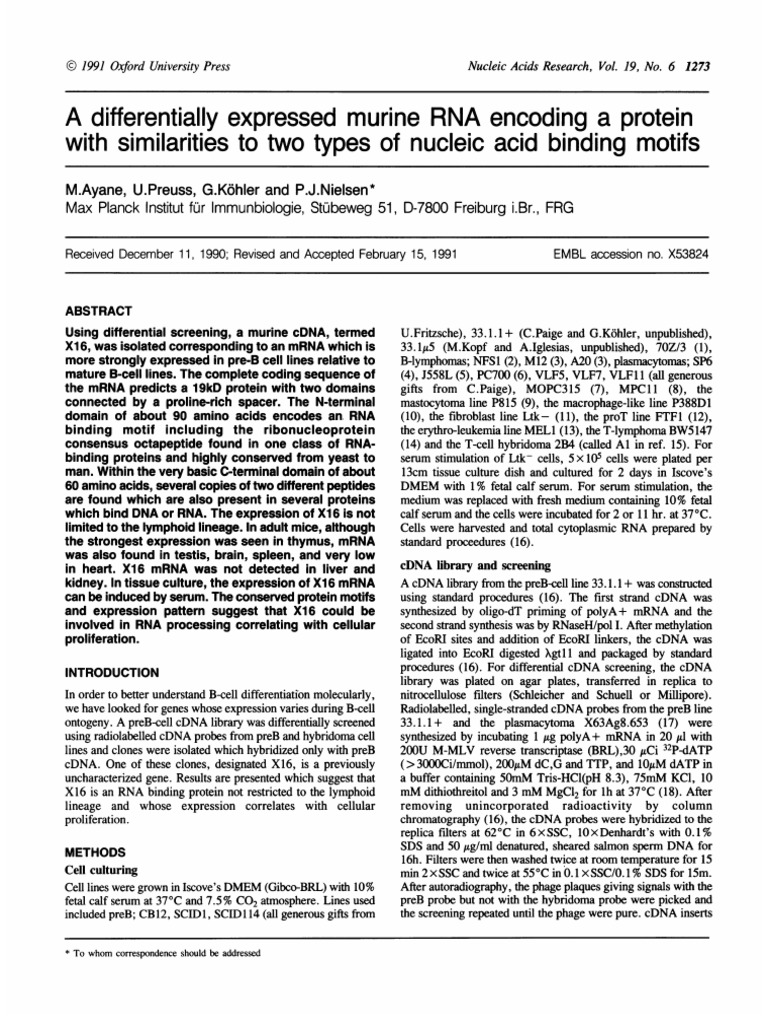 Differentially Murine Encoding Protein of Binding Motifs: A RNA With ...