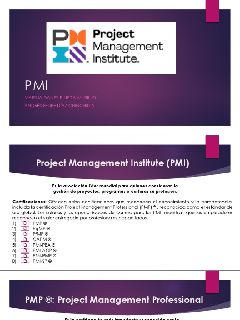 PMI | PDF | Profesional en el manejo de proyectos | Gestión de proyectos