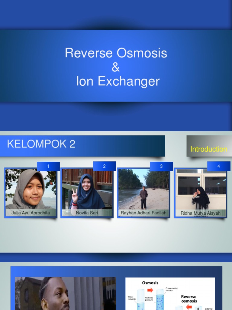 Ion Exchange and Reverse Osmosis PDF Osmosis Ion Exchange