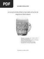 Estrategia Micro Cervejaria