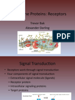 Trans Membrane Proteins Presentation