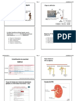 Nefrologia 01 Completo 2019 Alumno