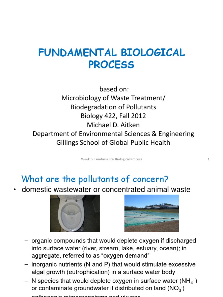 Microbial Processes in Waste Treatment | PDF | Sewage Treatment | Water ...